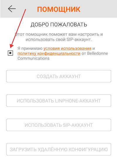 Принятие лицензионного соглашения Linphone